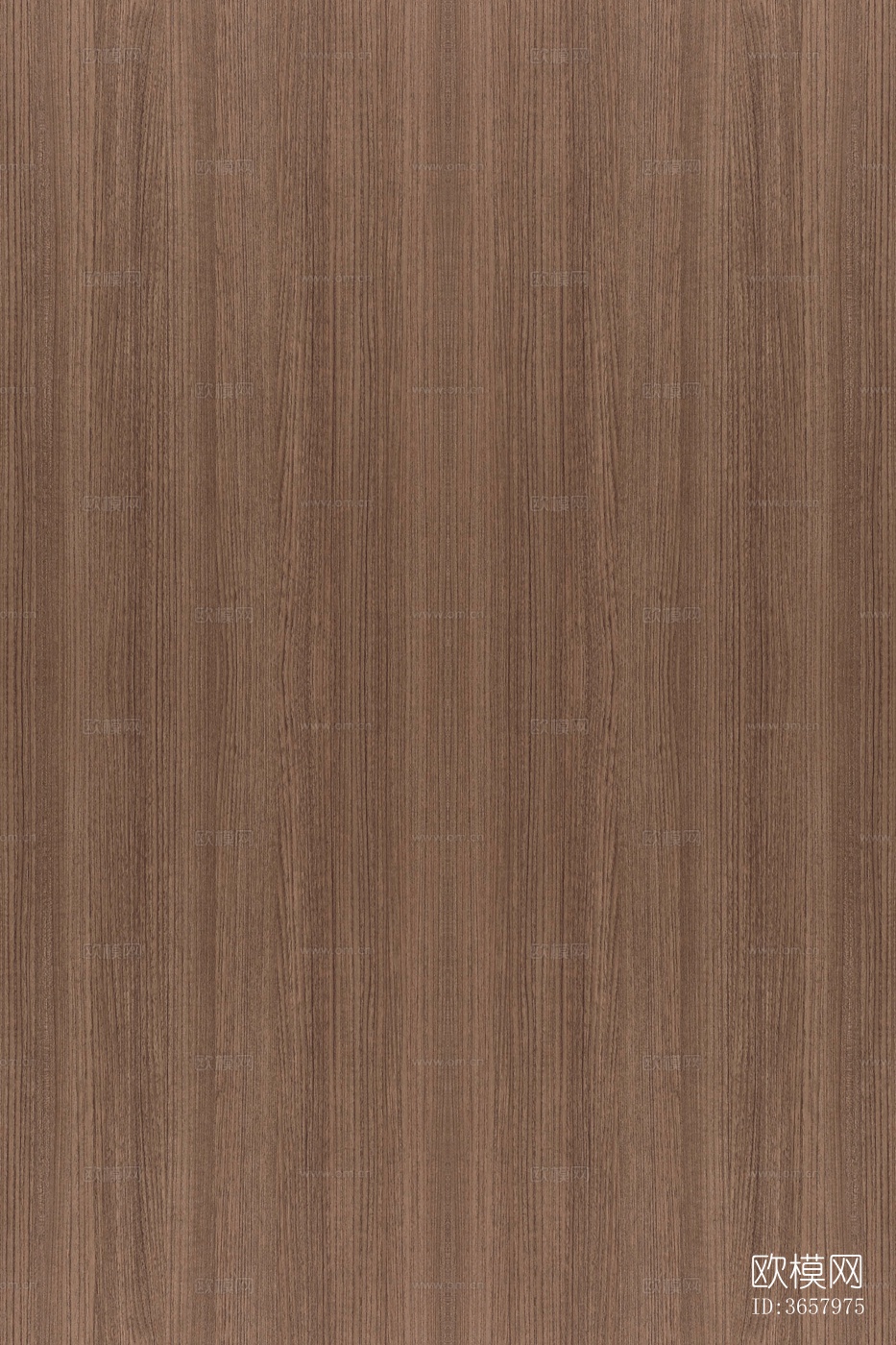 高清无缝连纹木饰面木纹贴图下载