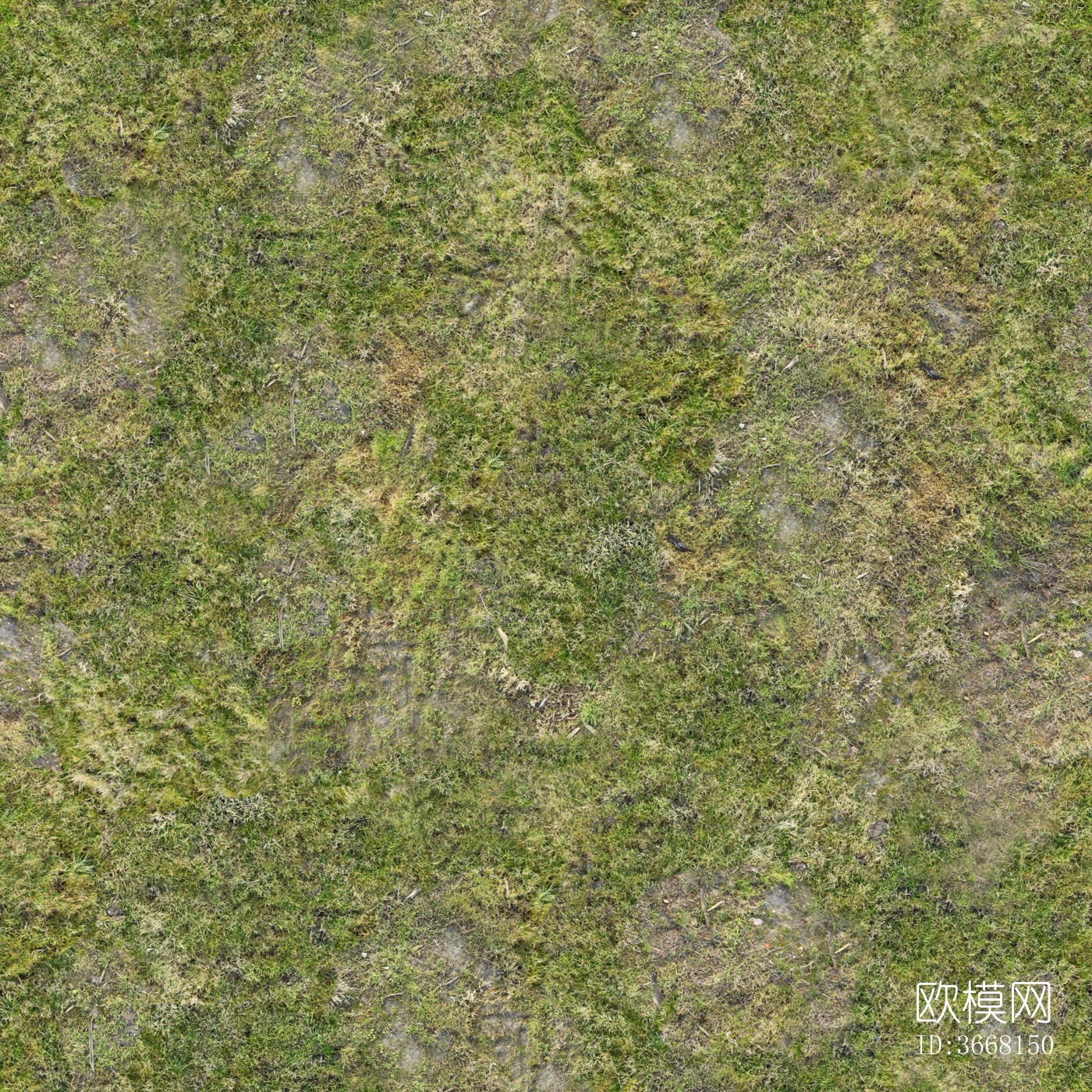 无缝草皮草坪草地泥土土壤地面下载