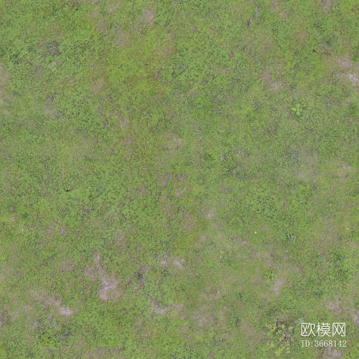 高清地面草地绿地草坡草皮地面下载