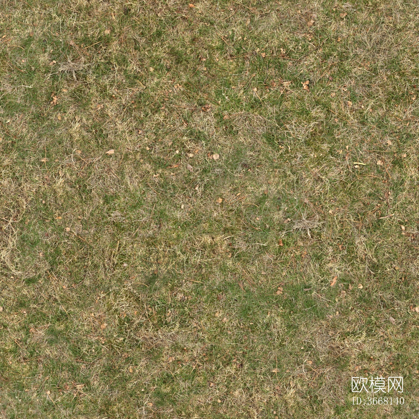 无缝草皮草坪草地泥土土壤地面下载