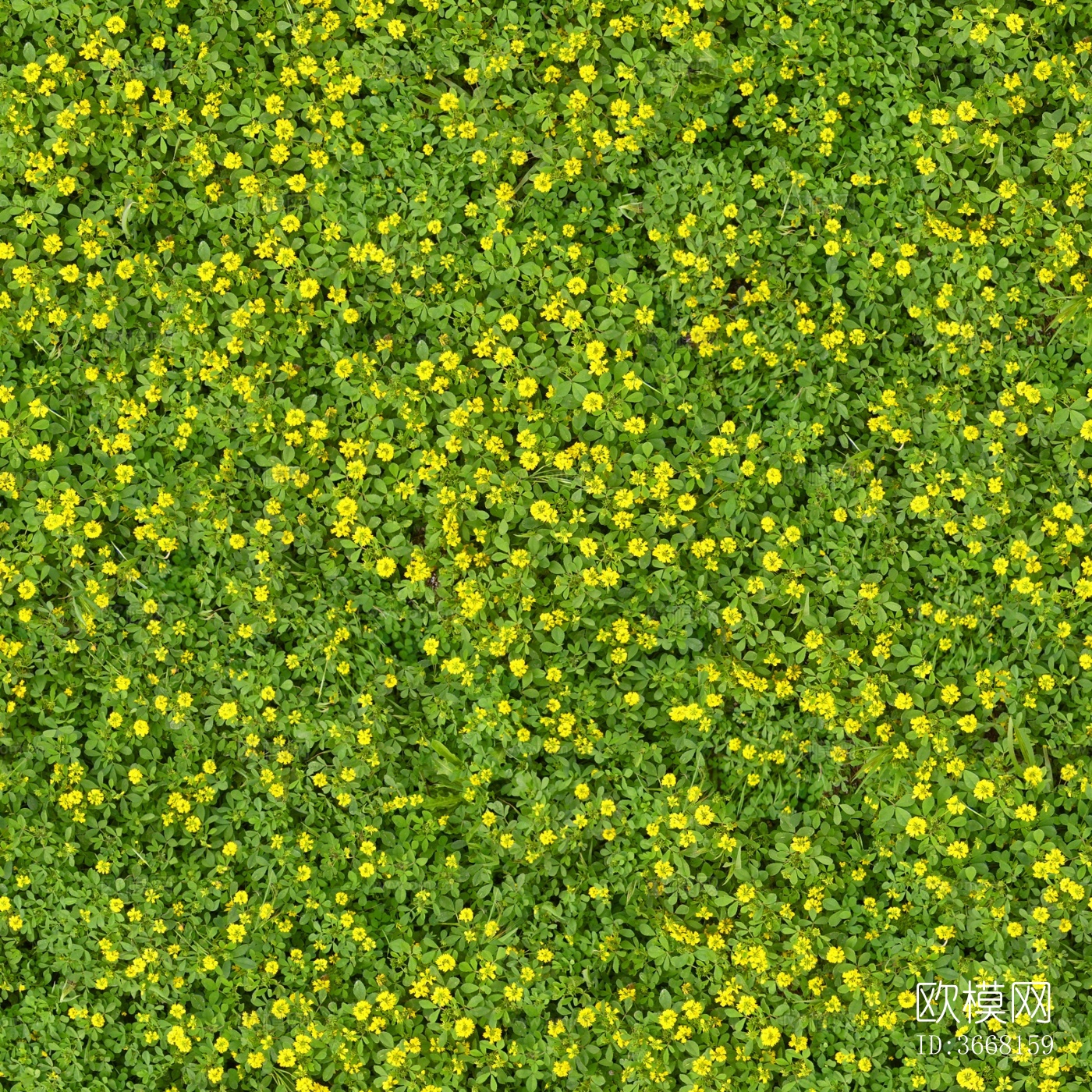 无缝自然草花草皮草丛灌木绿植绿色草地地面下载