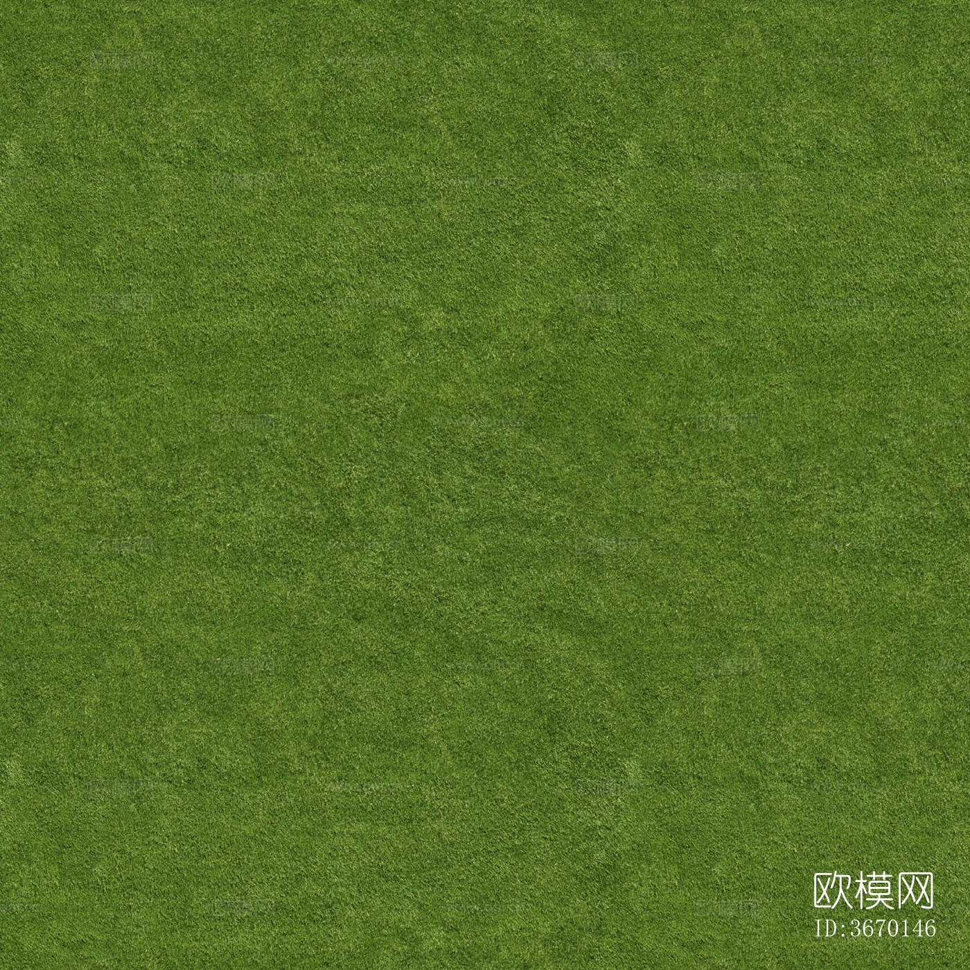 无缝土壤草地草皮草