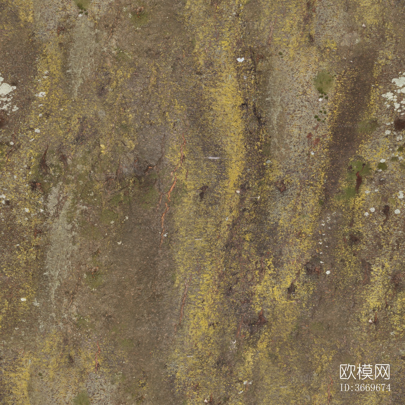 木材 木纹 树皮 树干下载