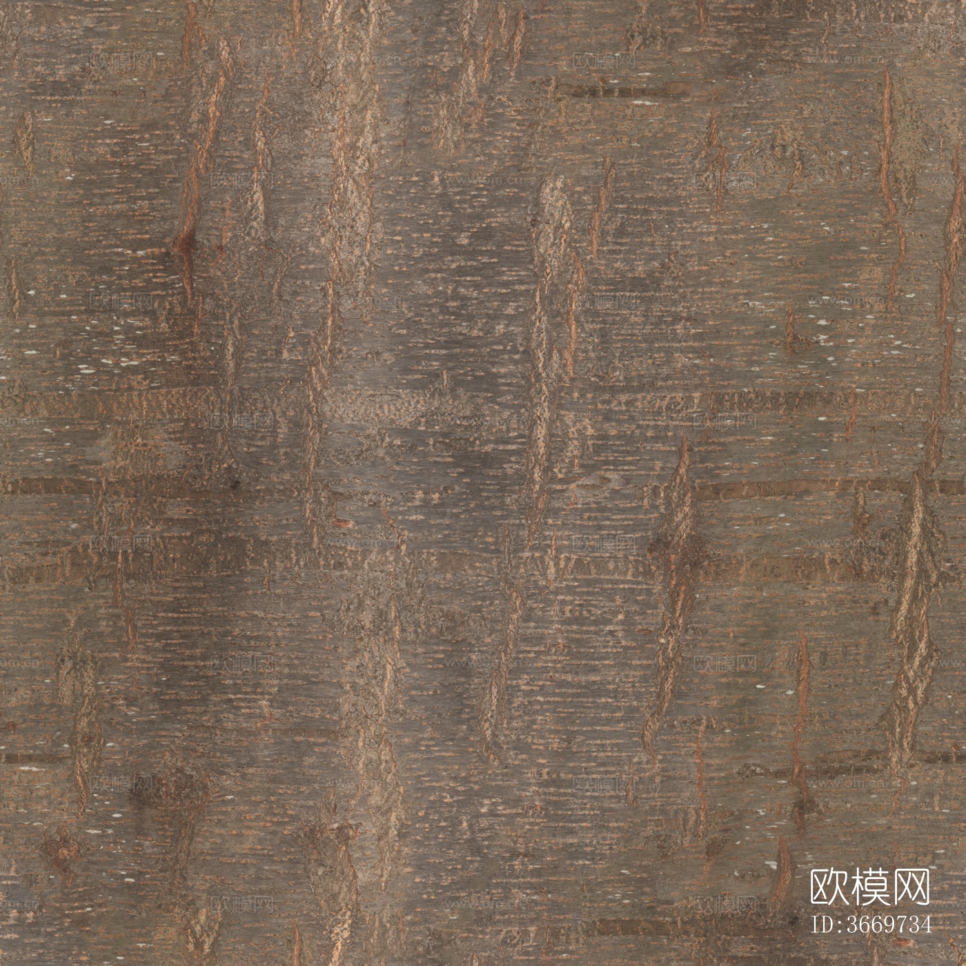 木材 木纹 树皮 树干下载