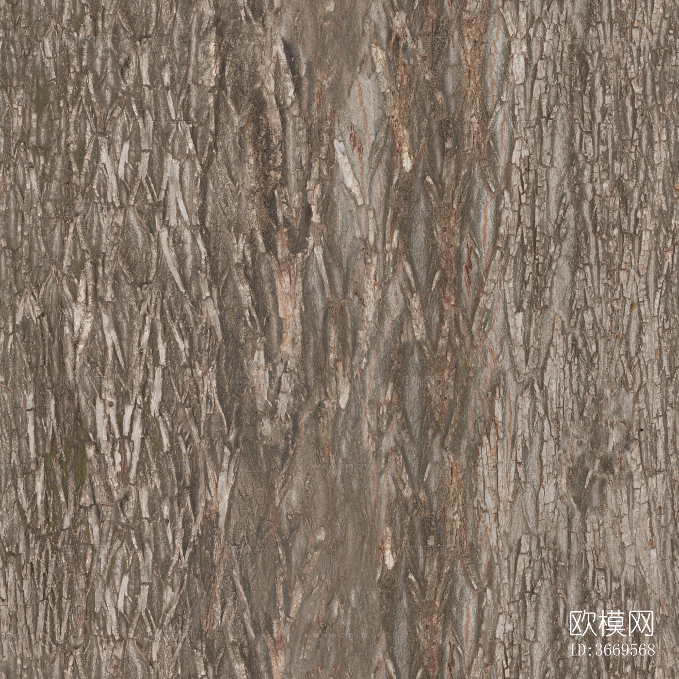 木材 木纹 树皮 树干下载