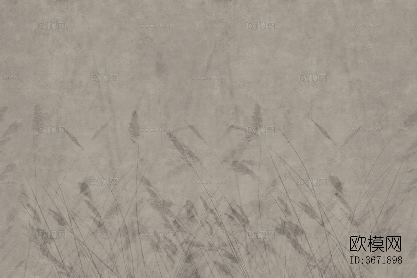 米灰色植物壁纸下载