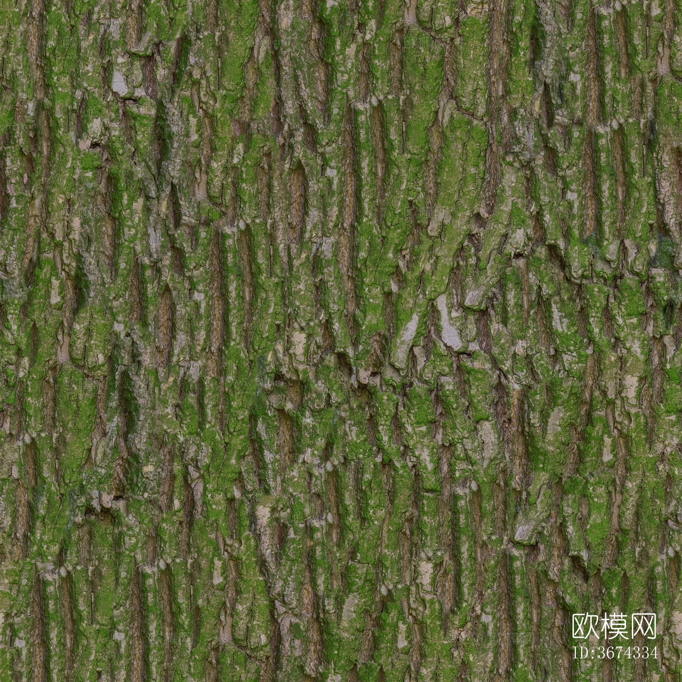 青苔树皮下载