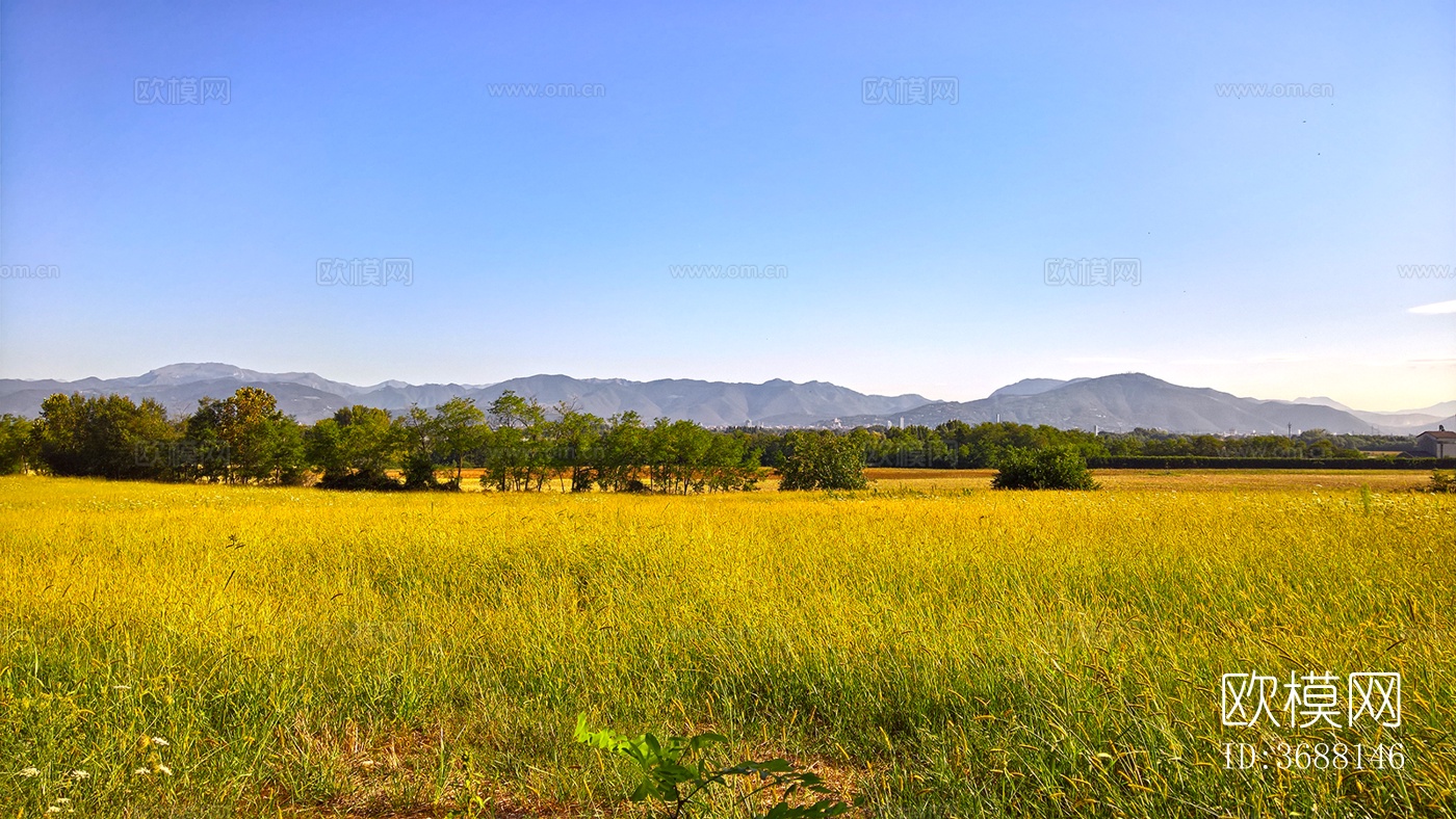 乡村景观自然风景下载