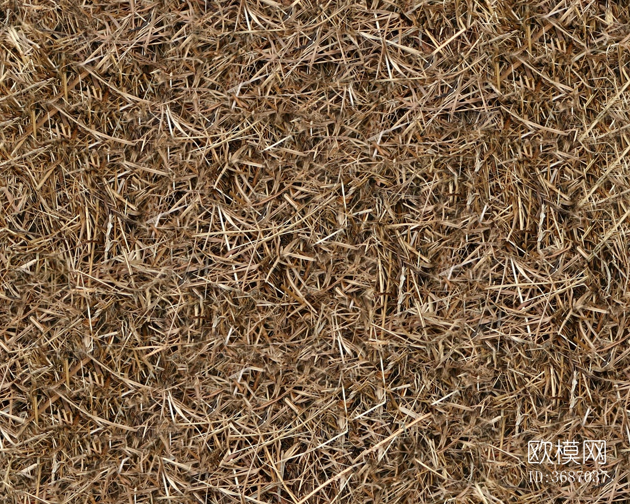 无缝园林庭院枯黄干枯草地草坪草皮泥土地面下载