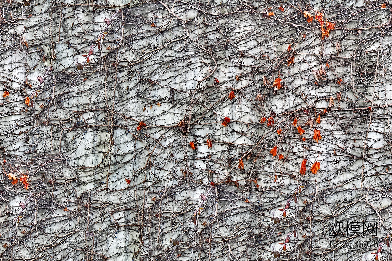 无缝做旧混凝土清水泥建筑外墙墙面下载