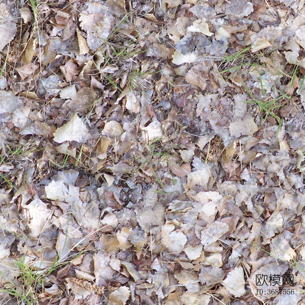 无缝树叶落叶草坪草皮草地面下载