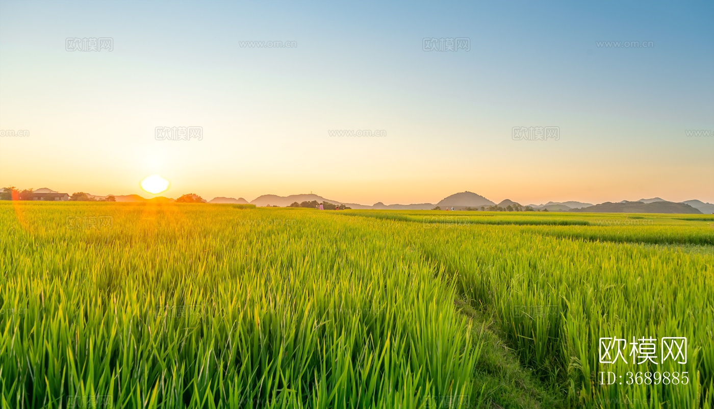 农田夕阳风景外景贴图