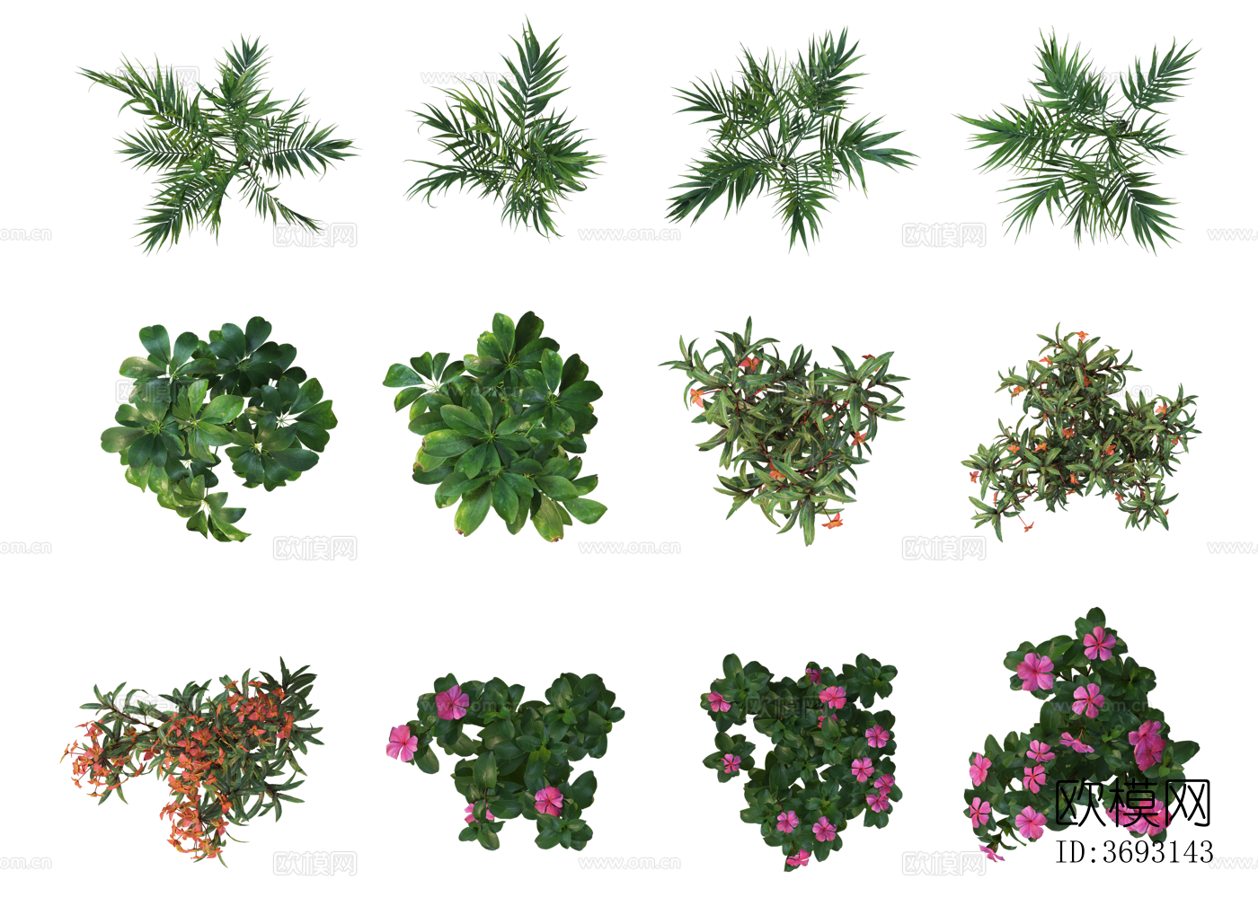 PS免抠彩平植物 写实风 PNG格式14下载