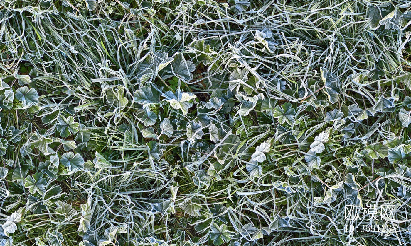 无缝园林庭院景观绿色草坪草地草皮地面下载