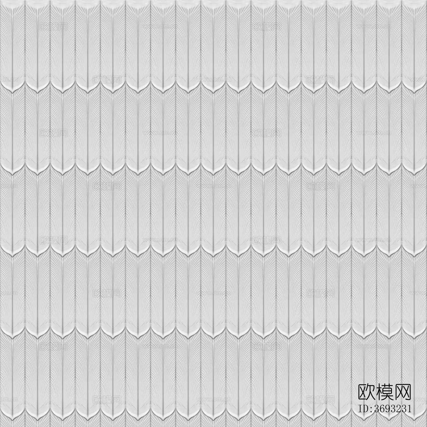 孔雀羽毛纯白色羽毛砖瓷砖下载