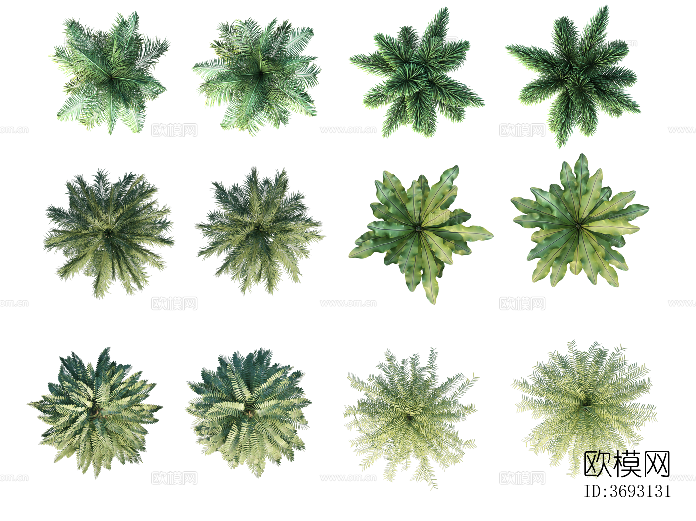 PS免抠彩平植物 写实风 PNG格式06下载