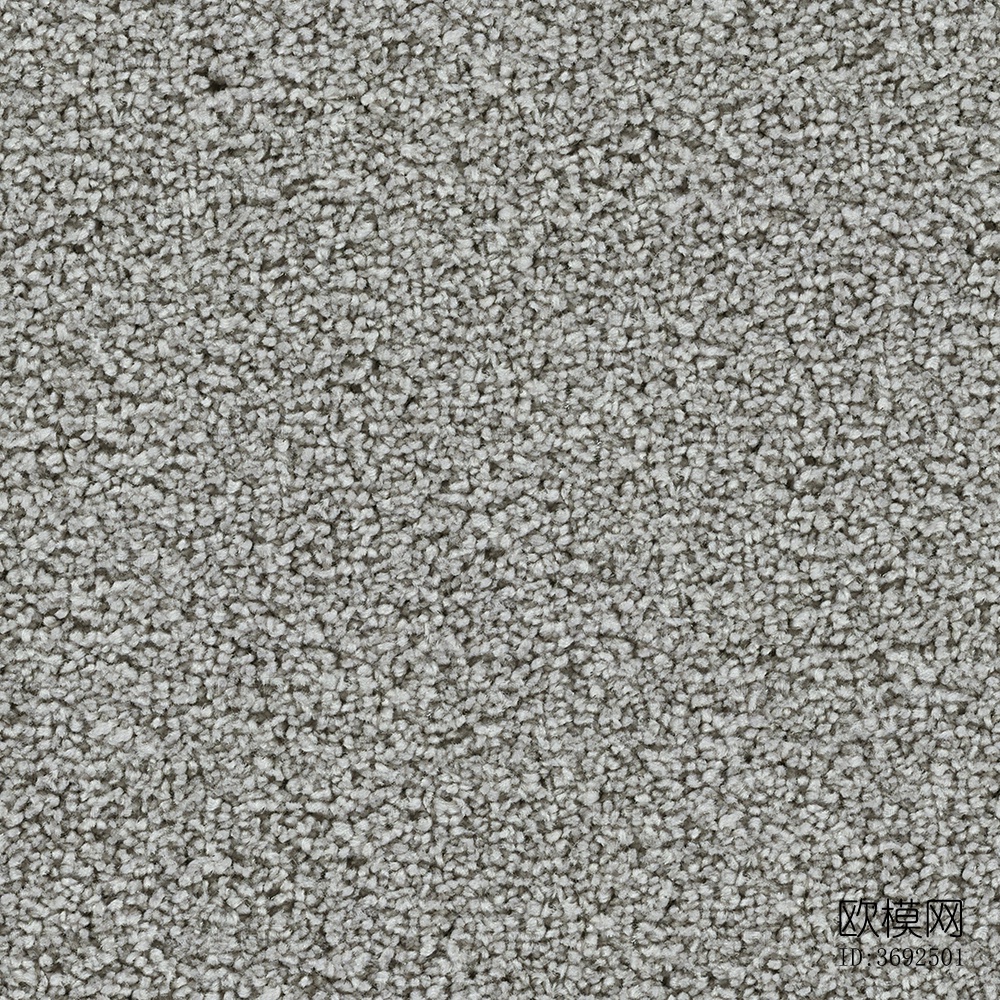无缝现代酒店办公室浅灰色毛绒满铺地毯地垫下载