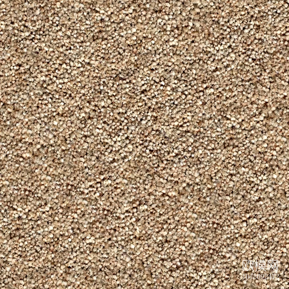 无缝现代酒店办公室棕色毛绒满铺地毯地垫下载