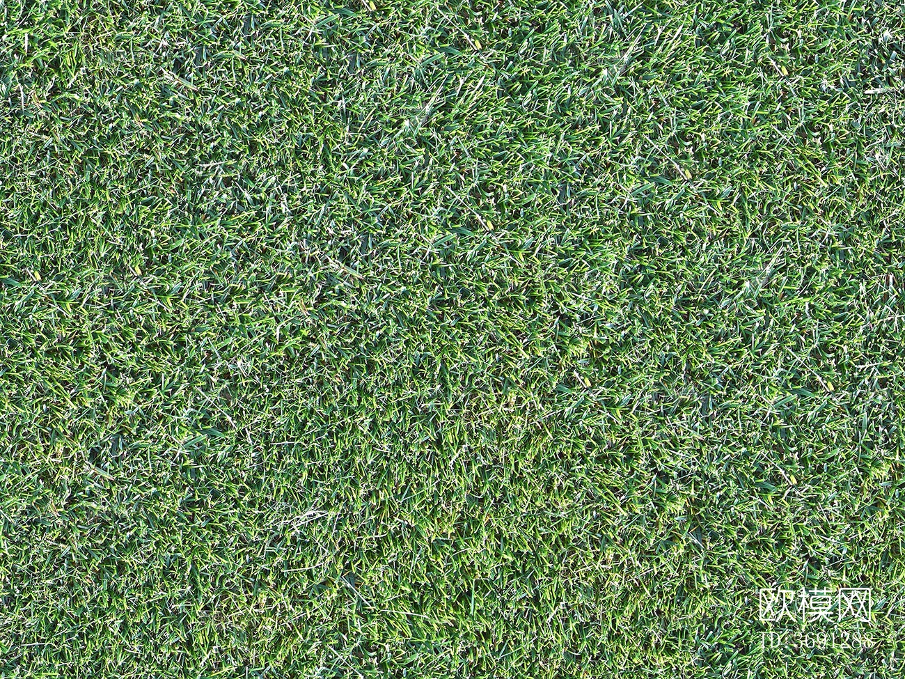 无缝园林庭院景观绿色草坪草地草皮地面下载