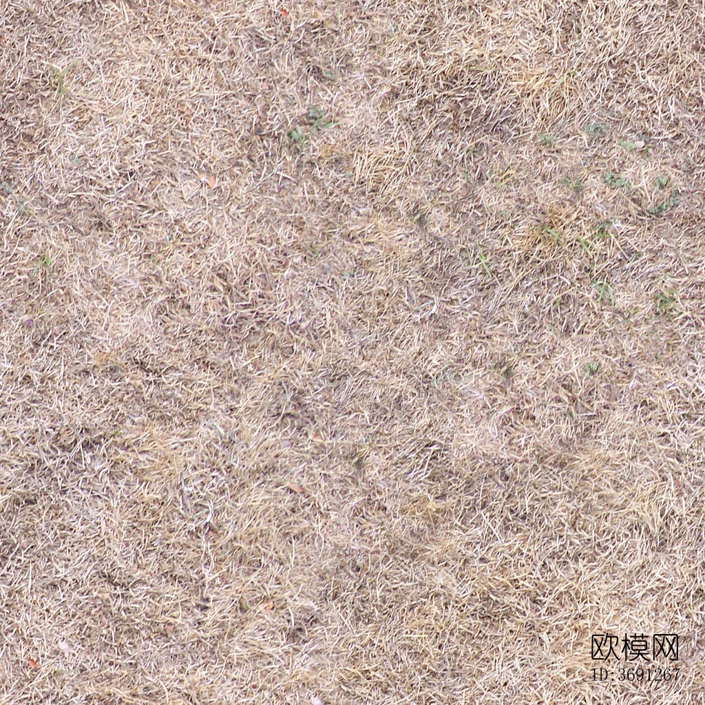 无缝园林庭院枯黄草地草坪草皮地面下载
