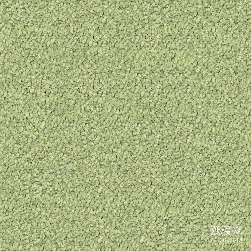 无缝现代酒店办公室绿色毛绒满铺地毯地垫下载