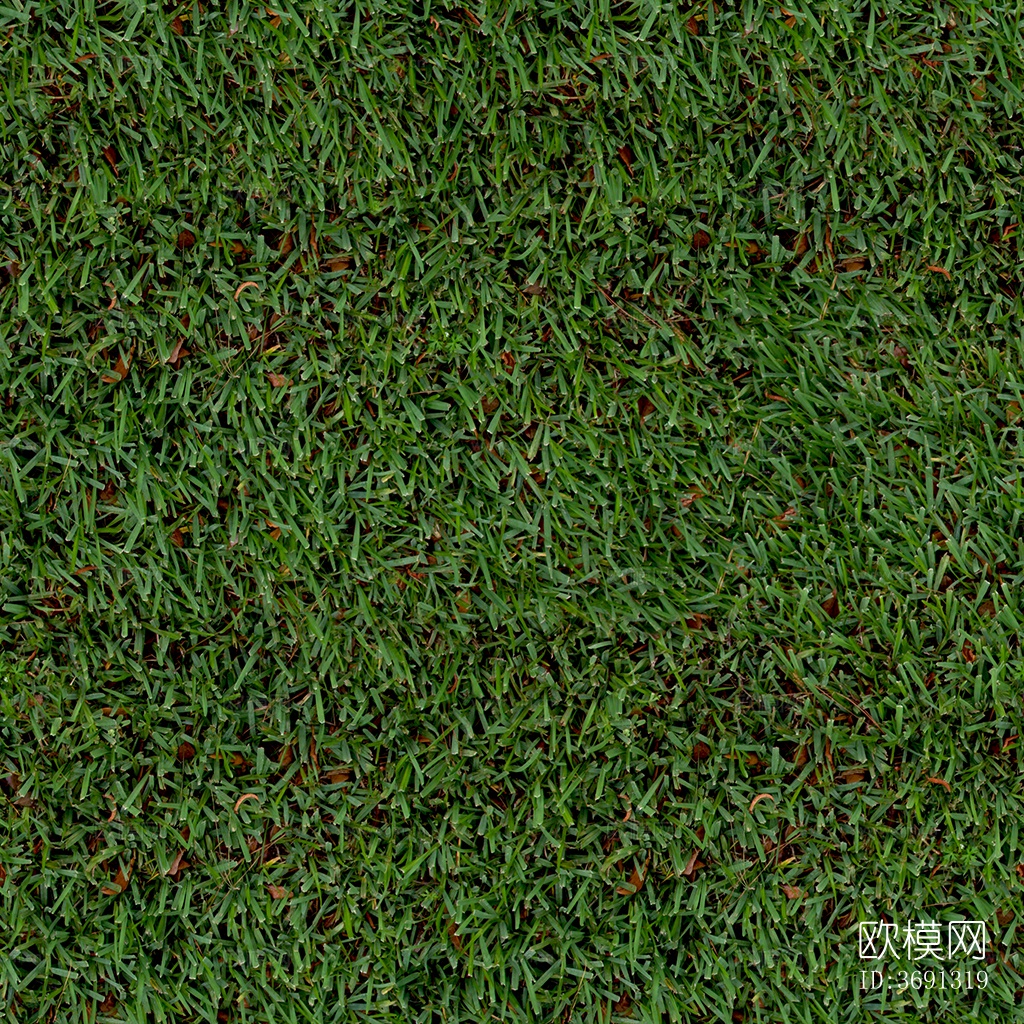 无缝园林庭院景观绿色草坪草地草皮地面下载
