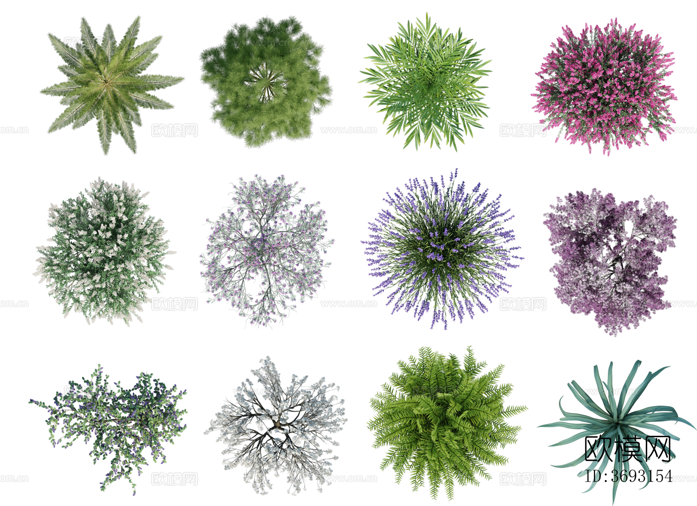 PS免抠彩平植物 写实风 PNG格式20下载