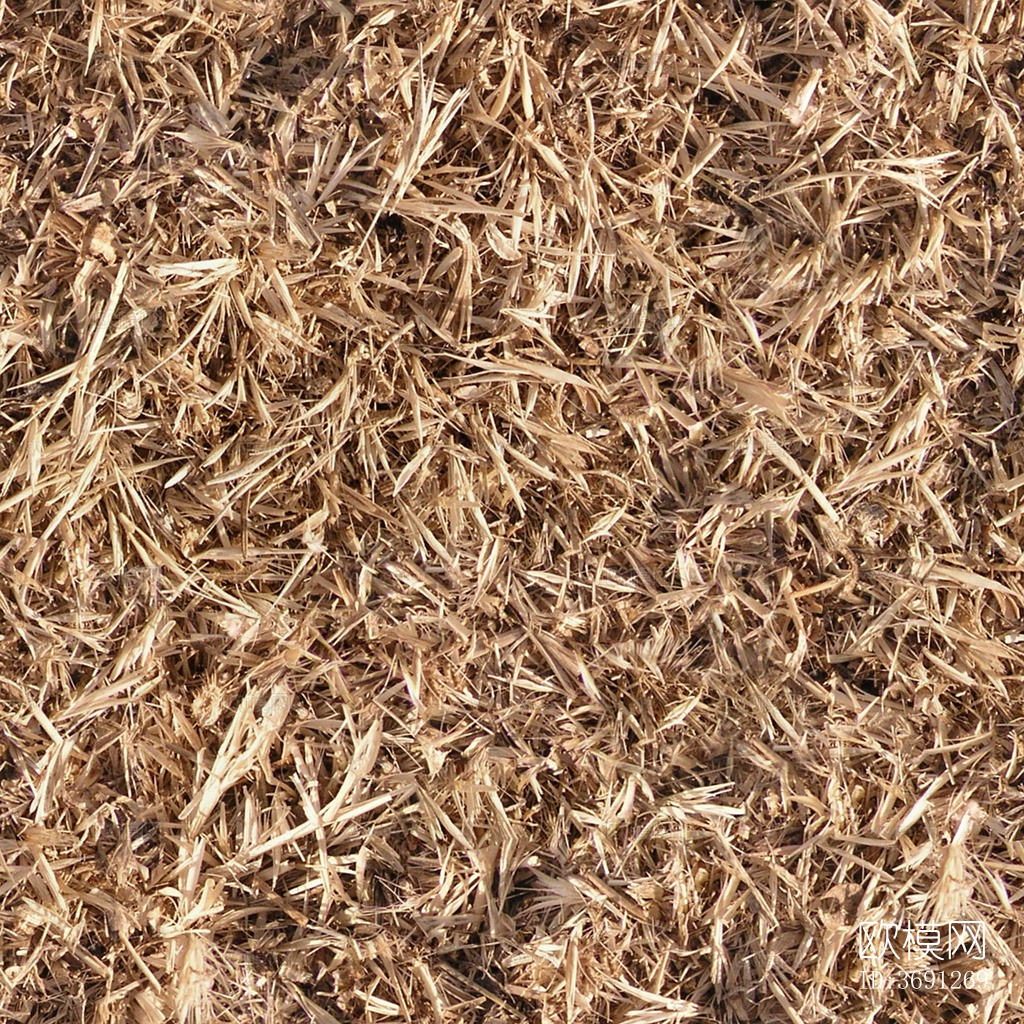 无缝园林庭院枯黄草地草坪草皮地面下载