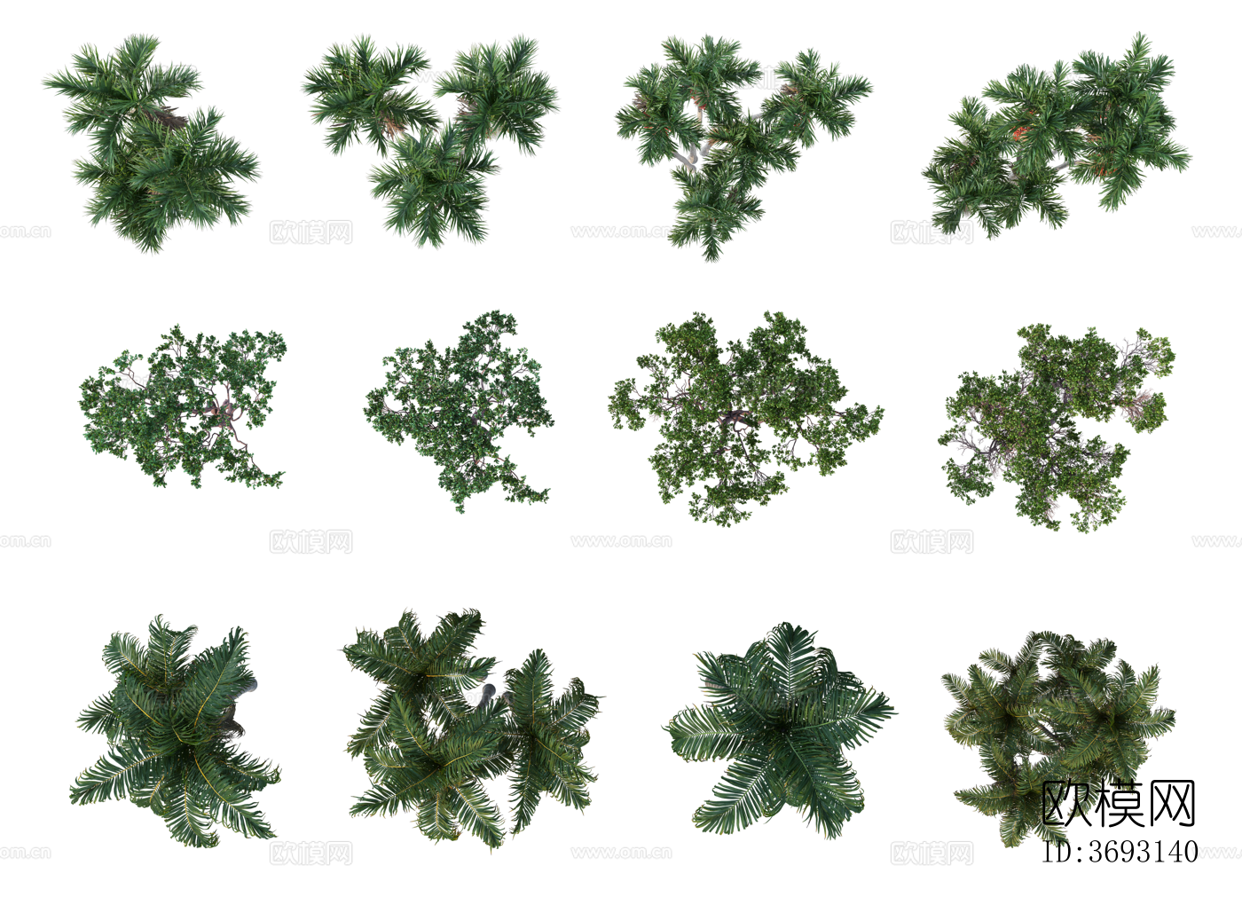 PS免抠彩平植物 写实风 PNG格式12下载