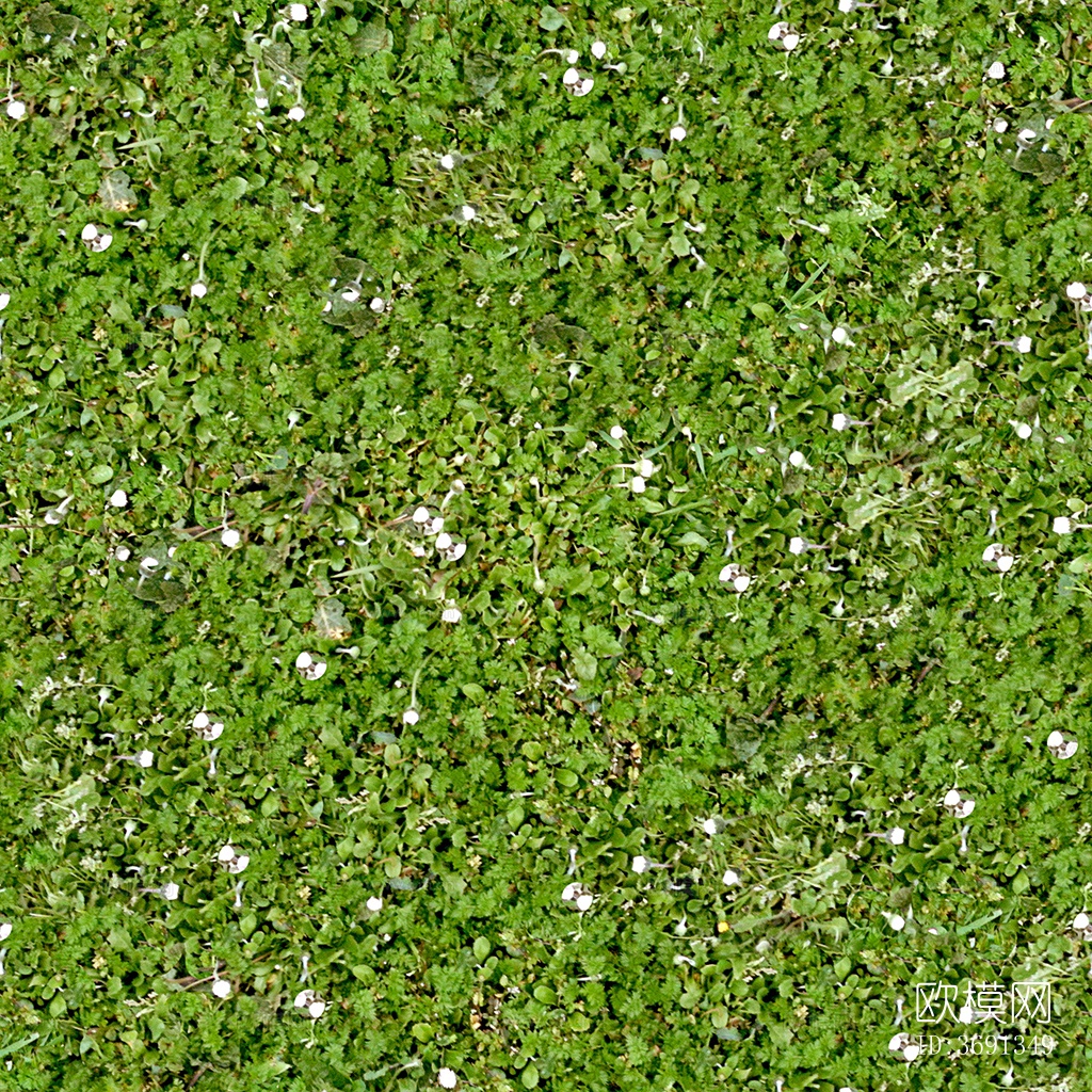 无缝园林庭院景观花园田野花卉鲜花绿植草坪草地草皮地面下载