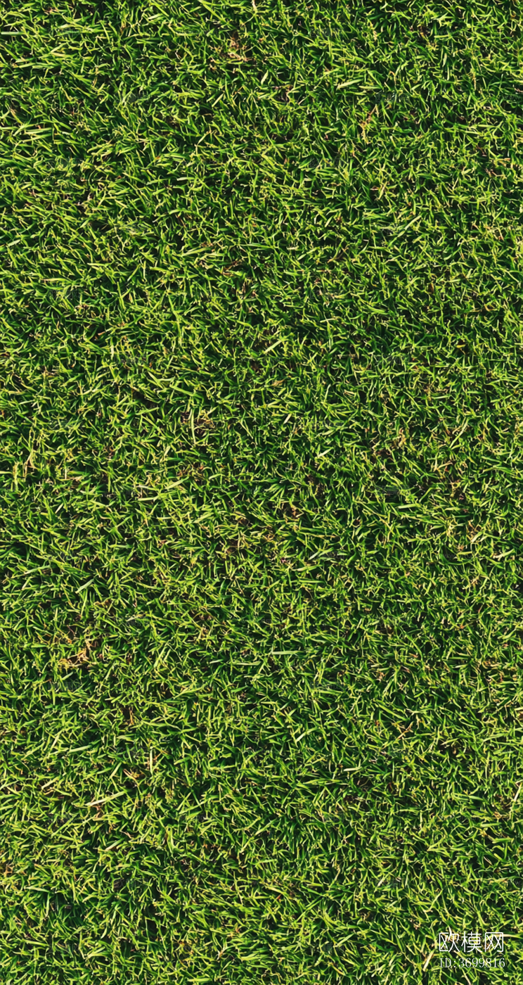 草皮下载
