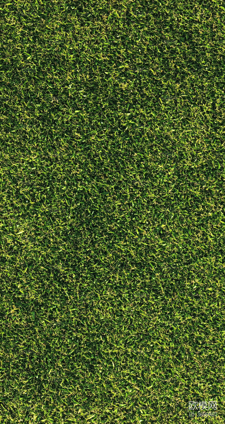 草皮下载