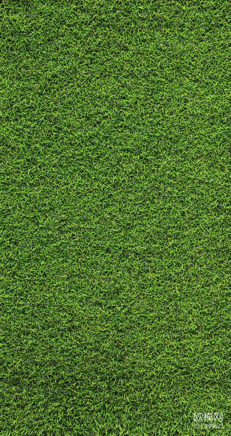 草地下载