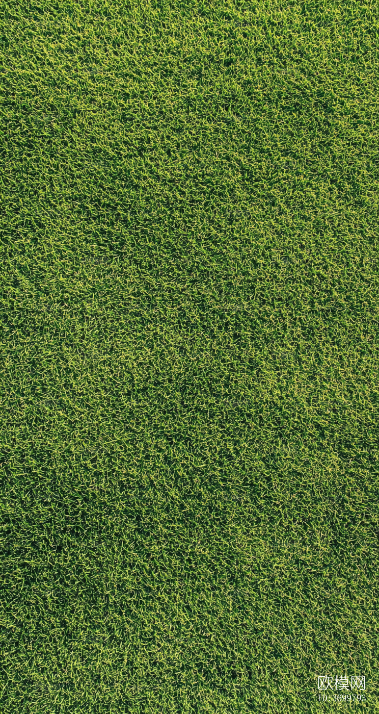 草皮下载