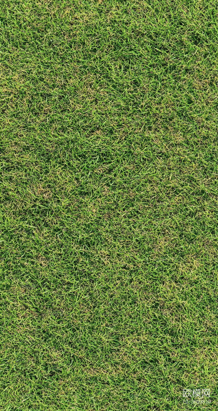 草地下载