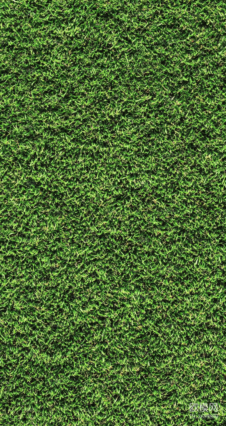 草皮下载