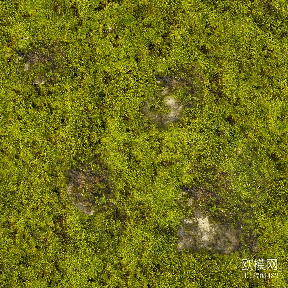 无缝庭院园林苔藓草坪草皮草地岩石地面墙面下载