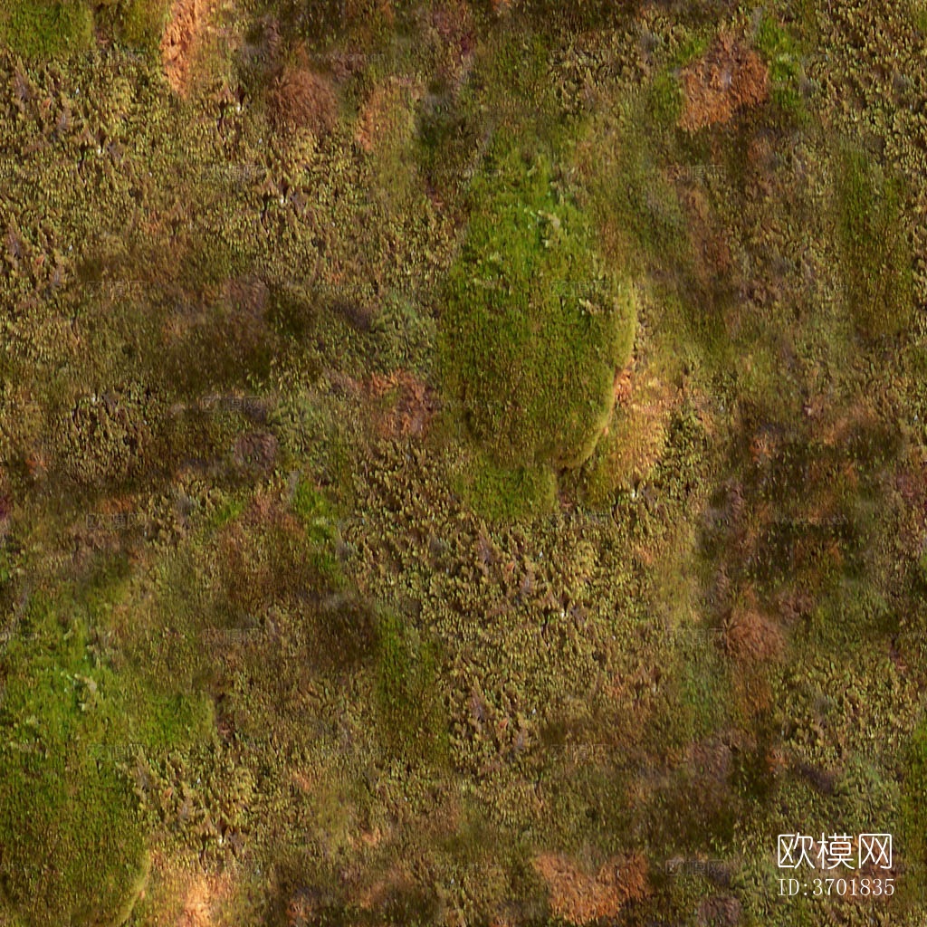 无缝苔藓草坪草皮地面下载