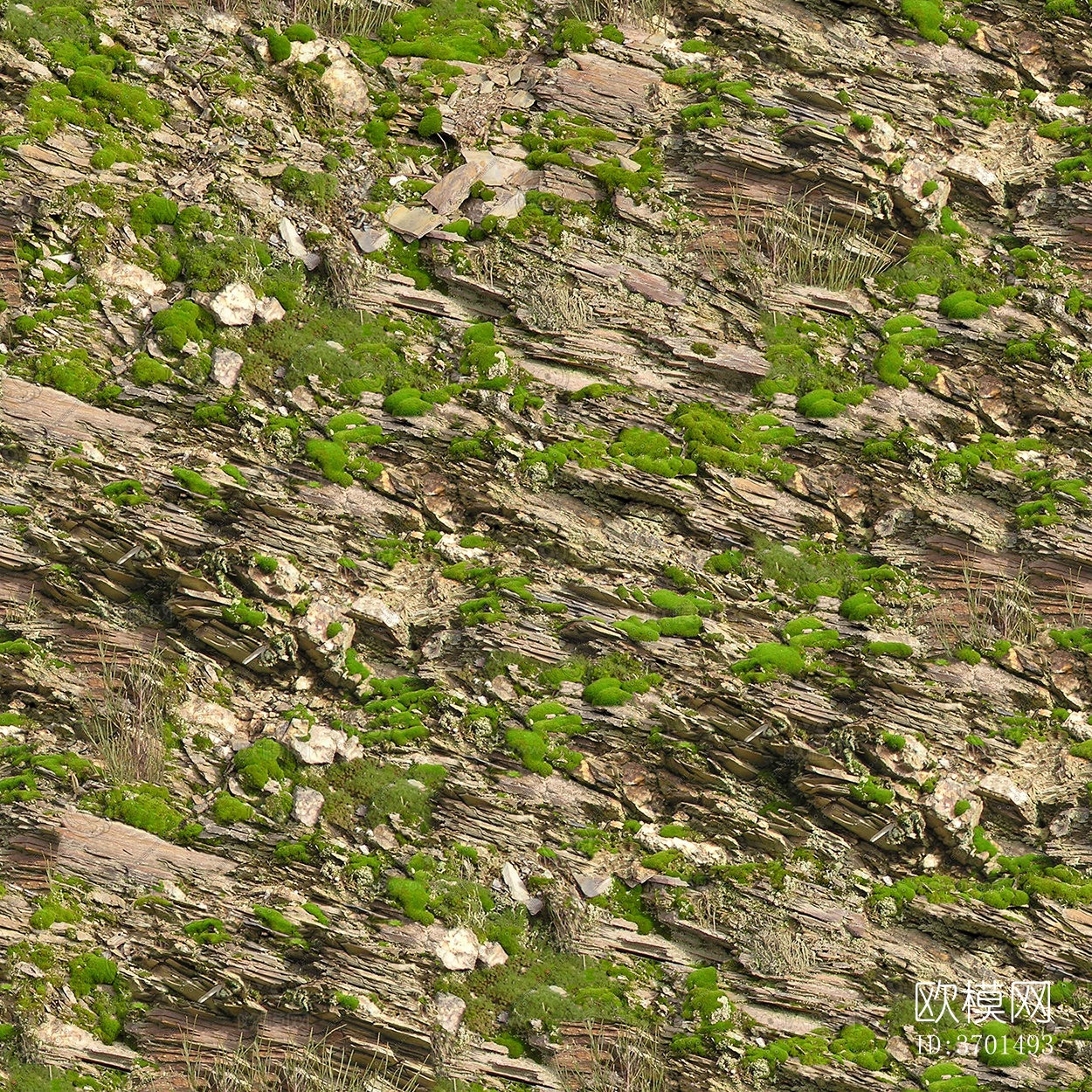 无缝庭院园林苔藓草坪草皮草地岩石地面下载