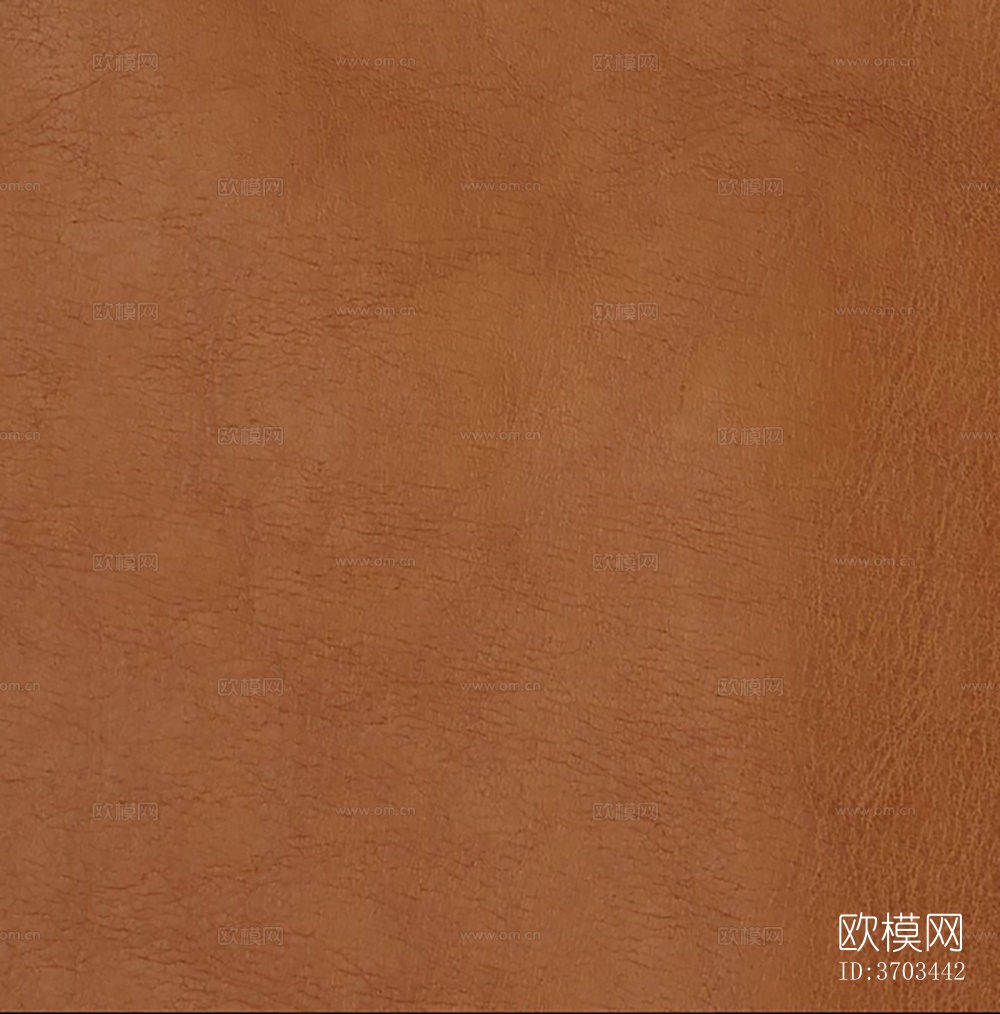 皮革6