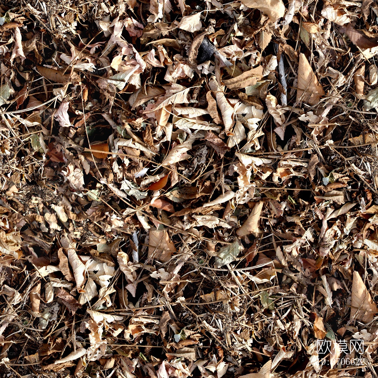 无缝枯黄枯枝落叶树叶草皮草地草坪道路地面下载