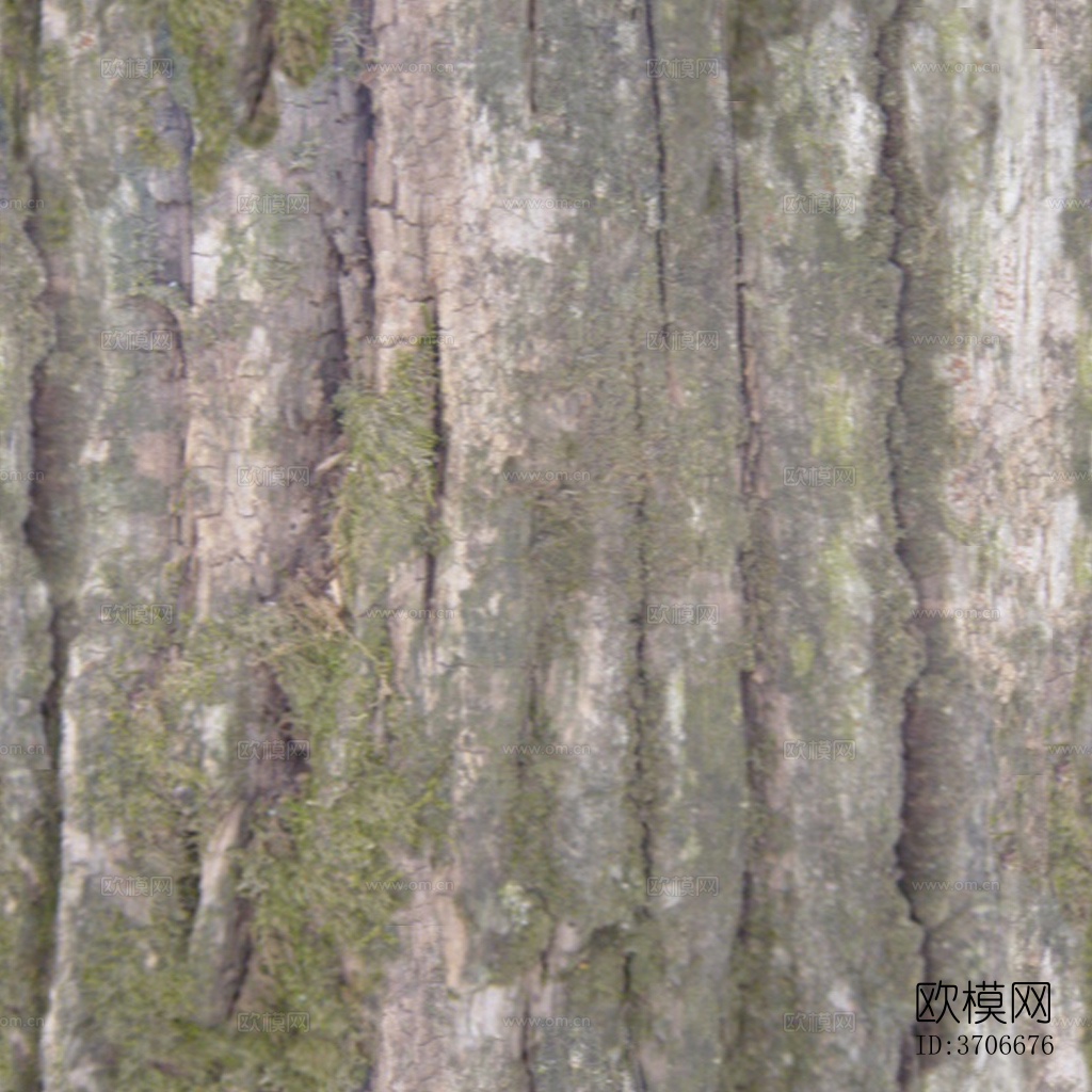 无缝开裂干枯树皮树干纹理下载