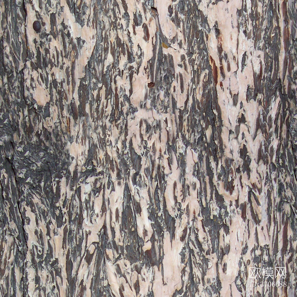 无缝开裂干枯树皮树干纹理下载