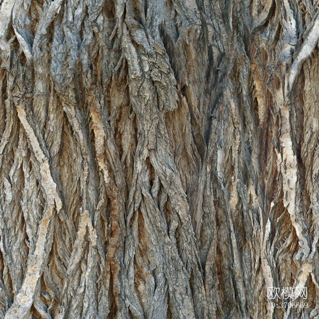 无缝开裂干枯树皮树干纹理下载