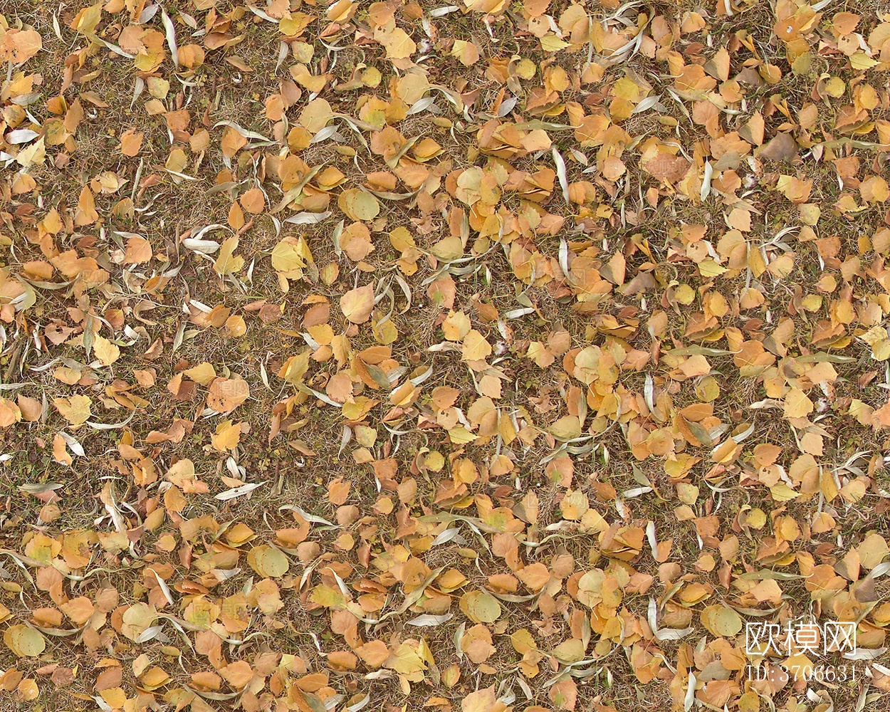 无缝枯黄枯枝落叶树叶草皮草地草坪道路地面下载