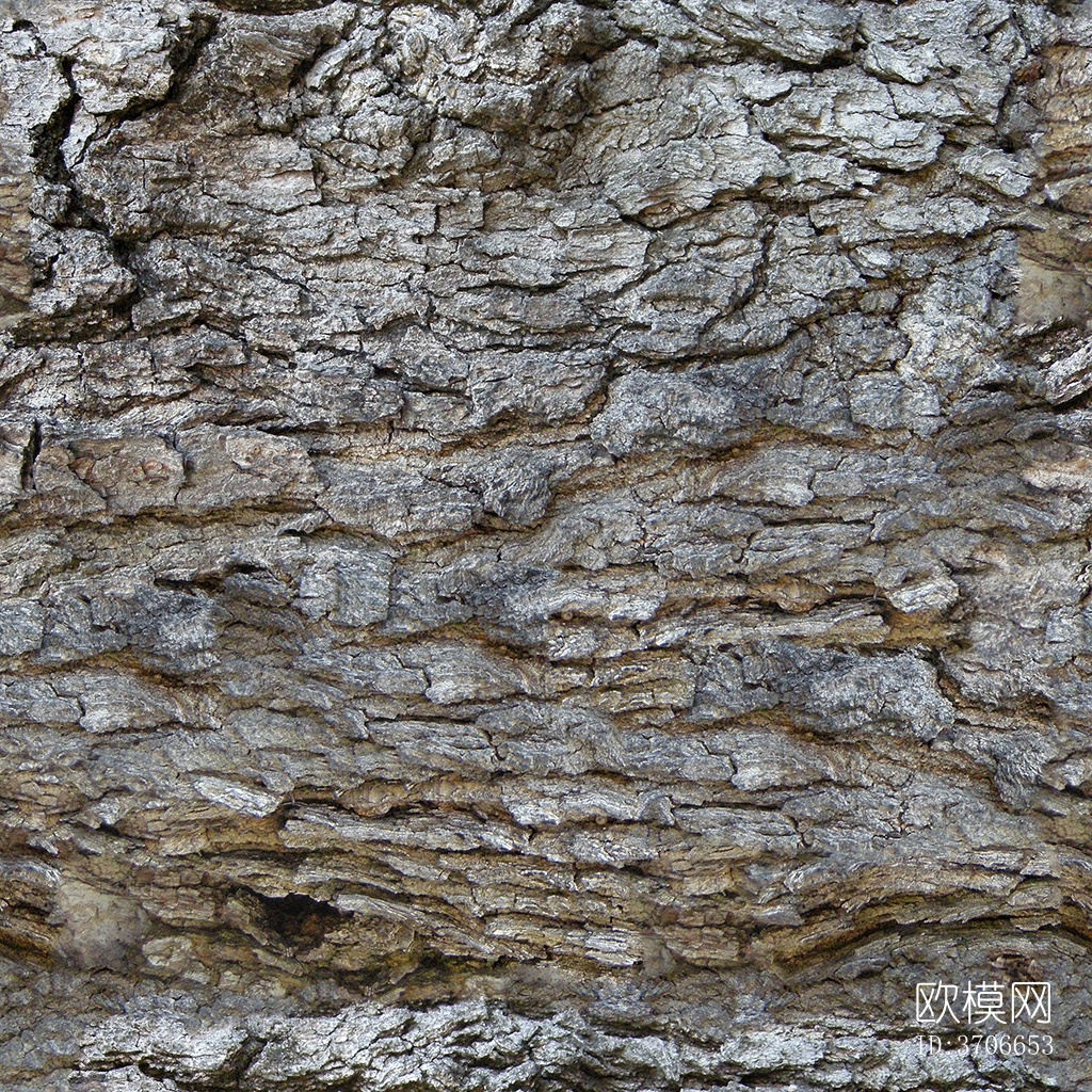 无缝开裂干枯树皮树干纹理下载