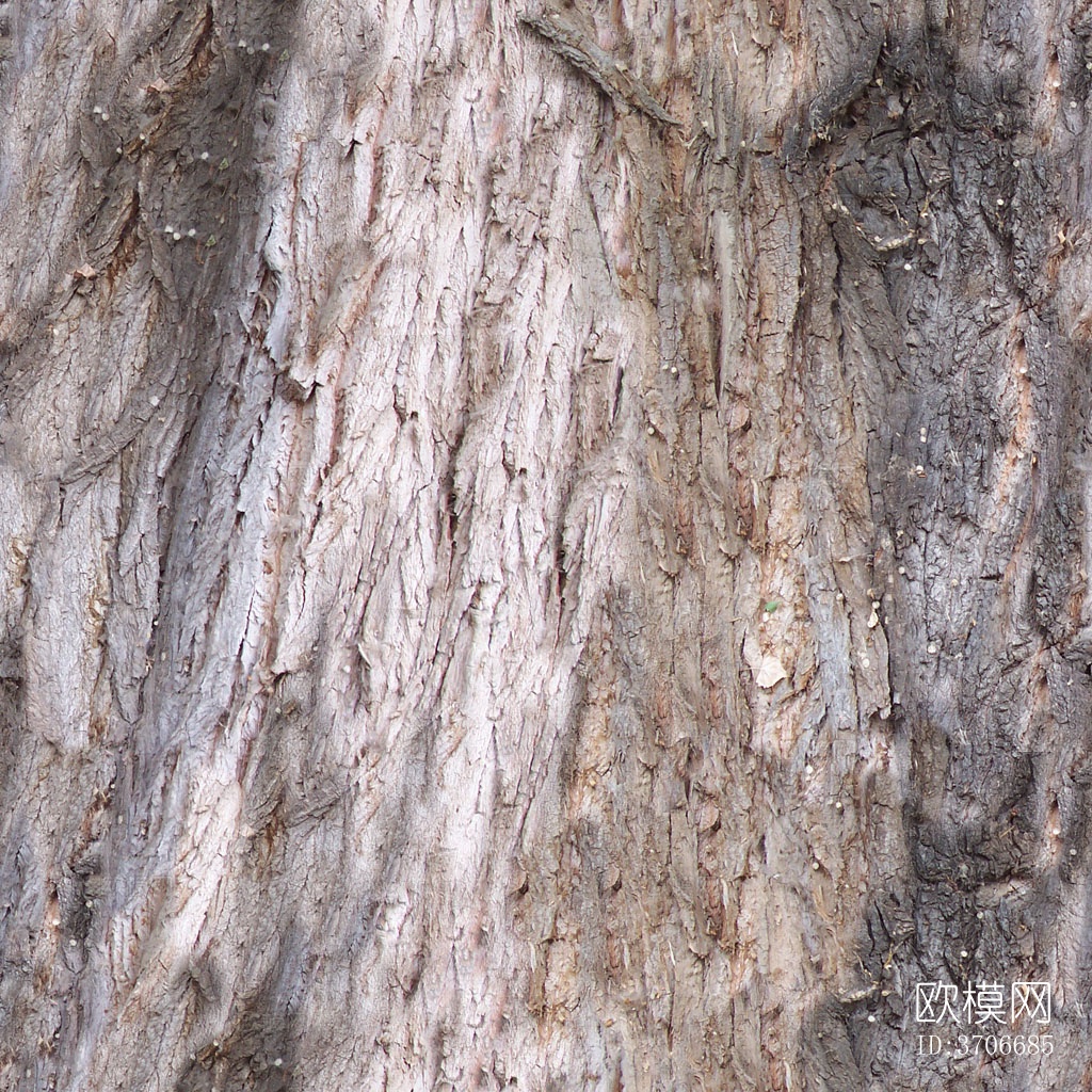 无缝开裂干枯树皮树干纹理下载