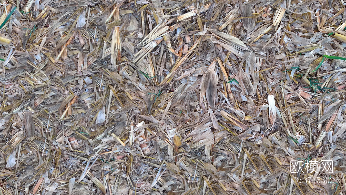 无缝枯黄干枯草地草坪草皮地面下载