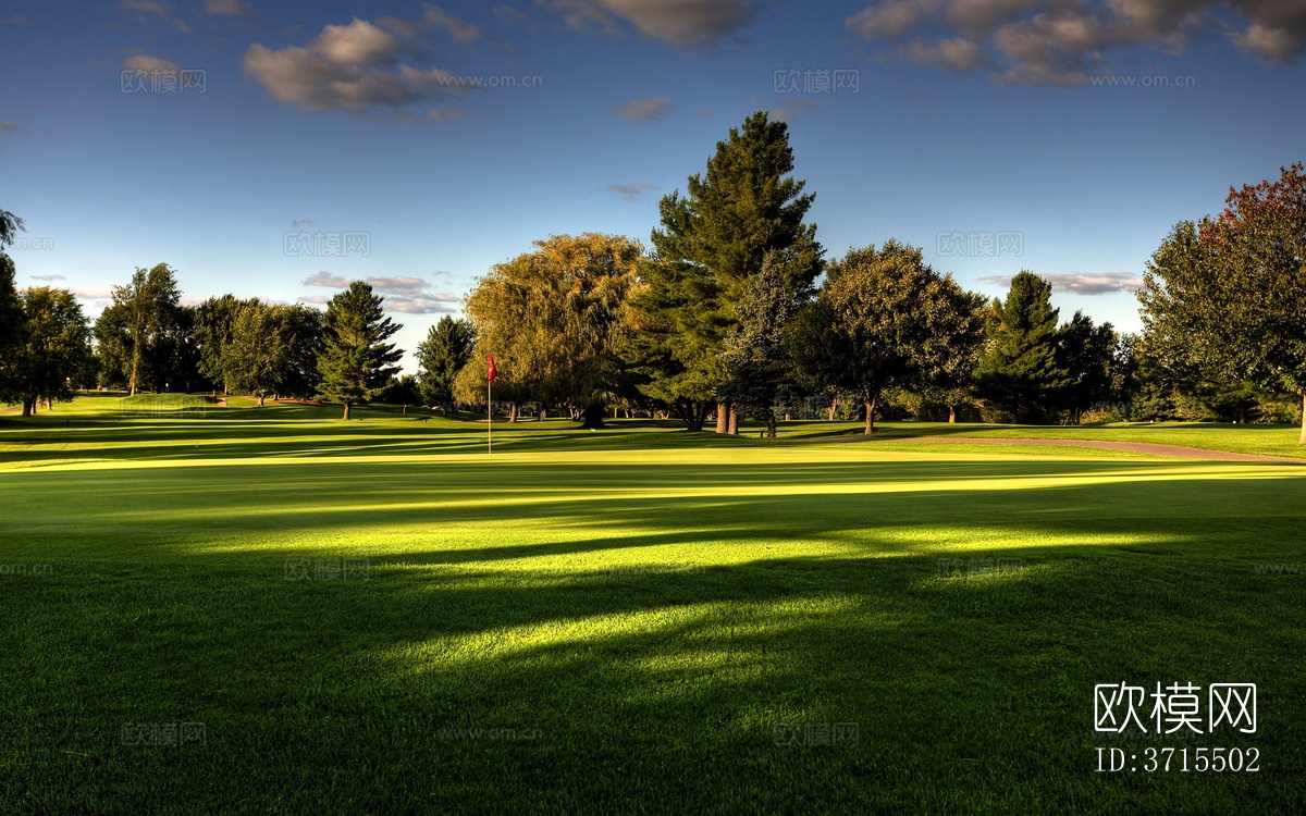 傍晚树林外景下载