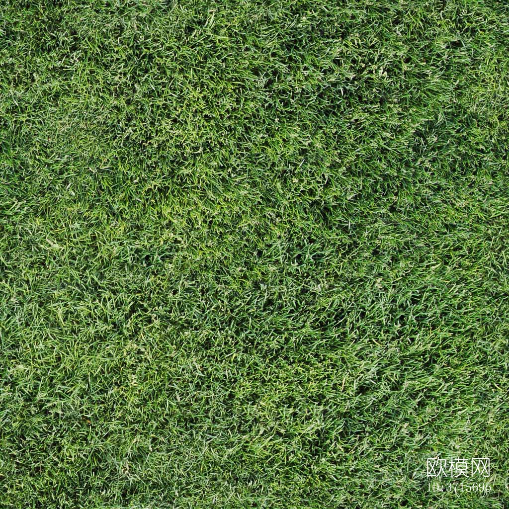 无缝园林景观庭院绿色草坪草地草皮地面下载